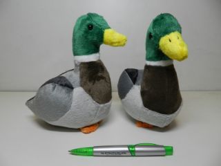Obrázek z Kačer plyš 20cm (6) 